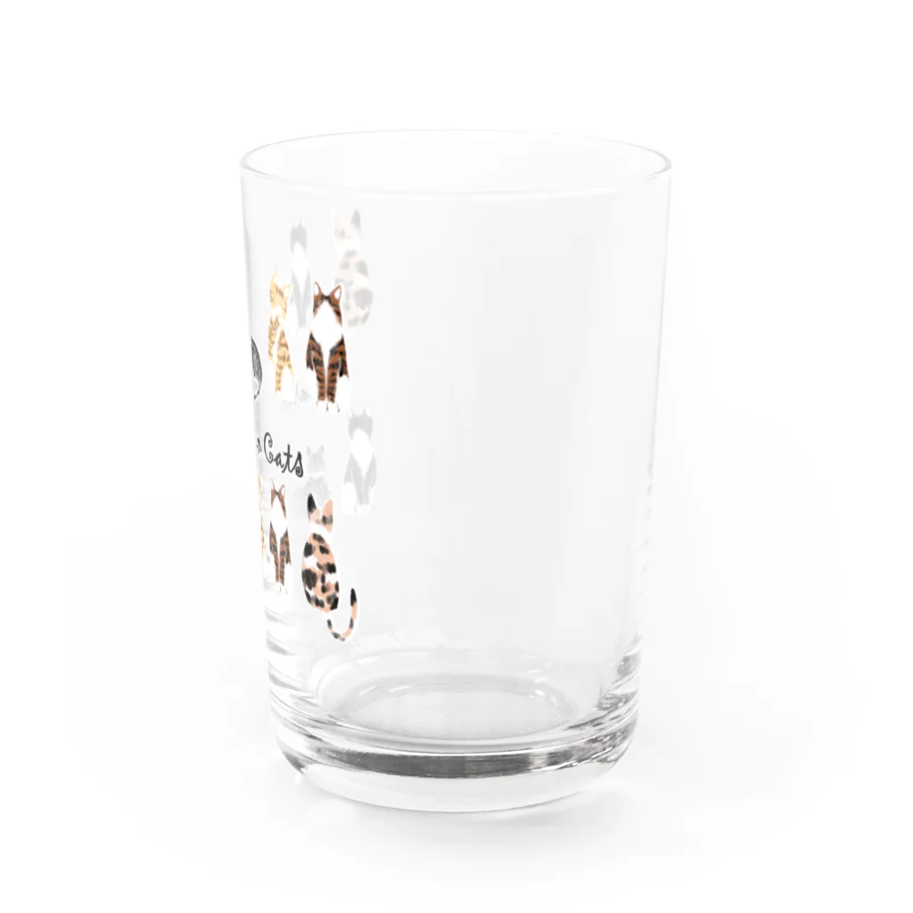 ゴシック屋↣↣ハルのカーディガンキャッツ Water Glass :right