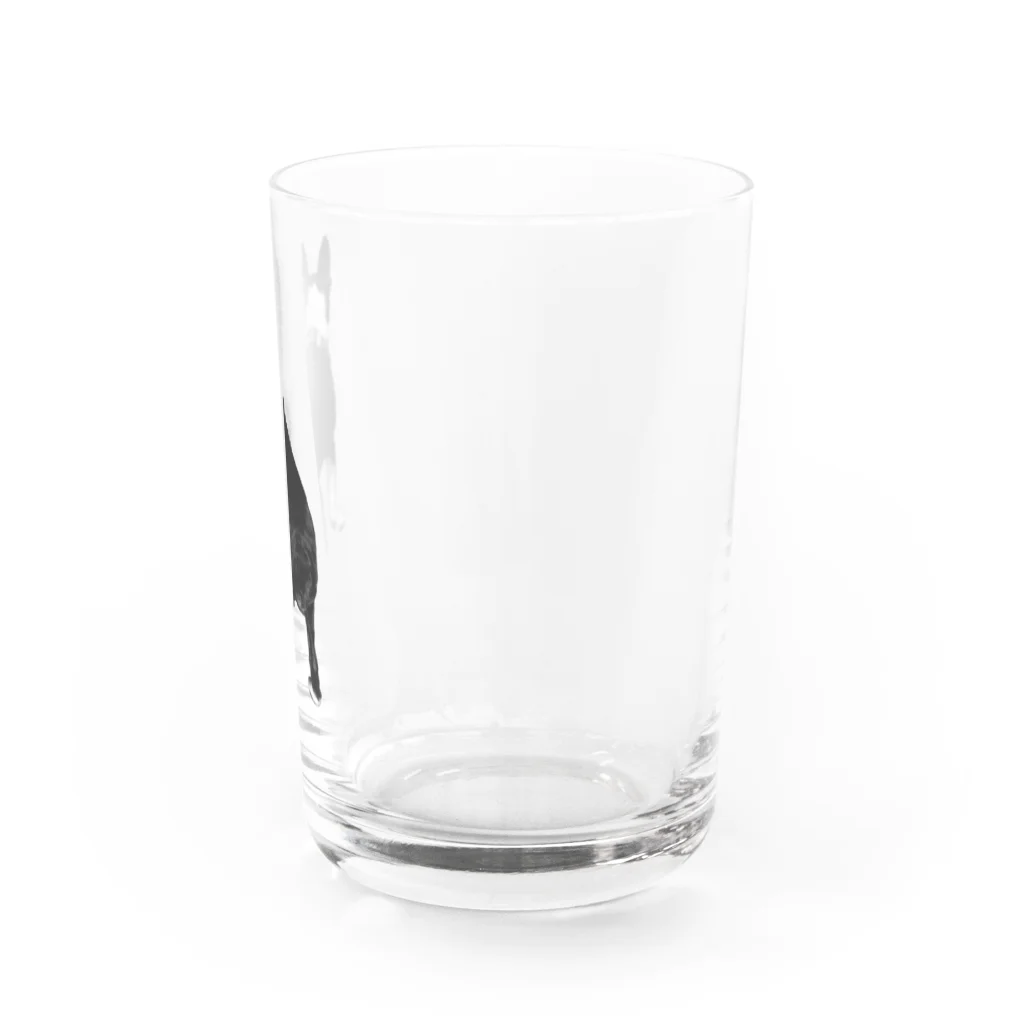 ナッツがかわいいのおしりもかわいいナッツ Water Glass :right