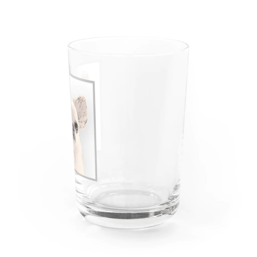 stellaforte_kyotoのシュールまるたろう（看板犬） Water Glass :right