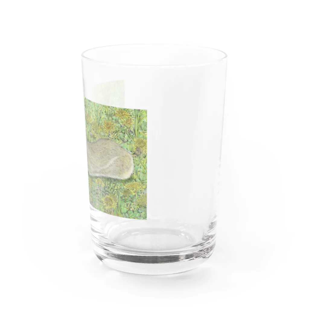 blue deer farmのうさんぽ日和 Water Glass :right