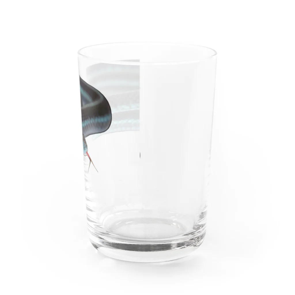 mahiruのpikkaring' Water Glass :right