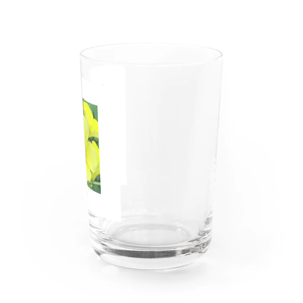 ムシロのお花 Water Glass :right