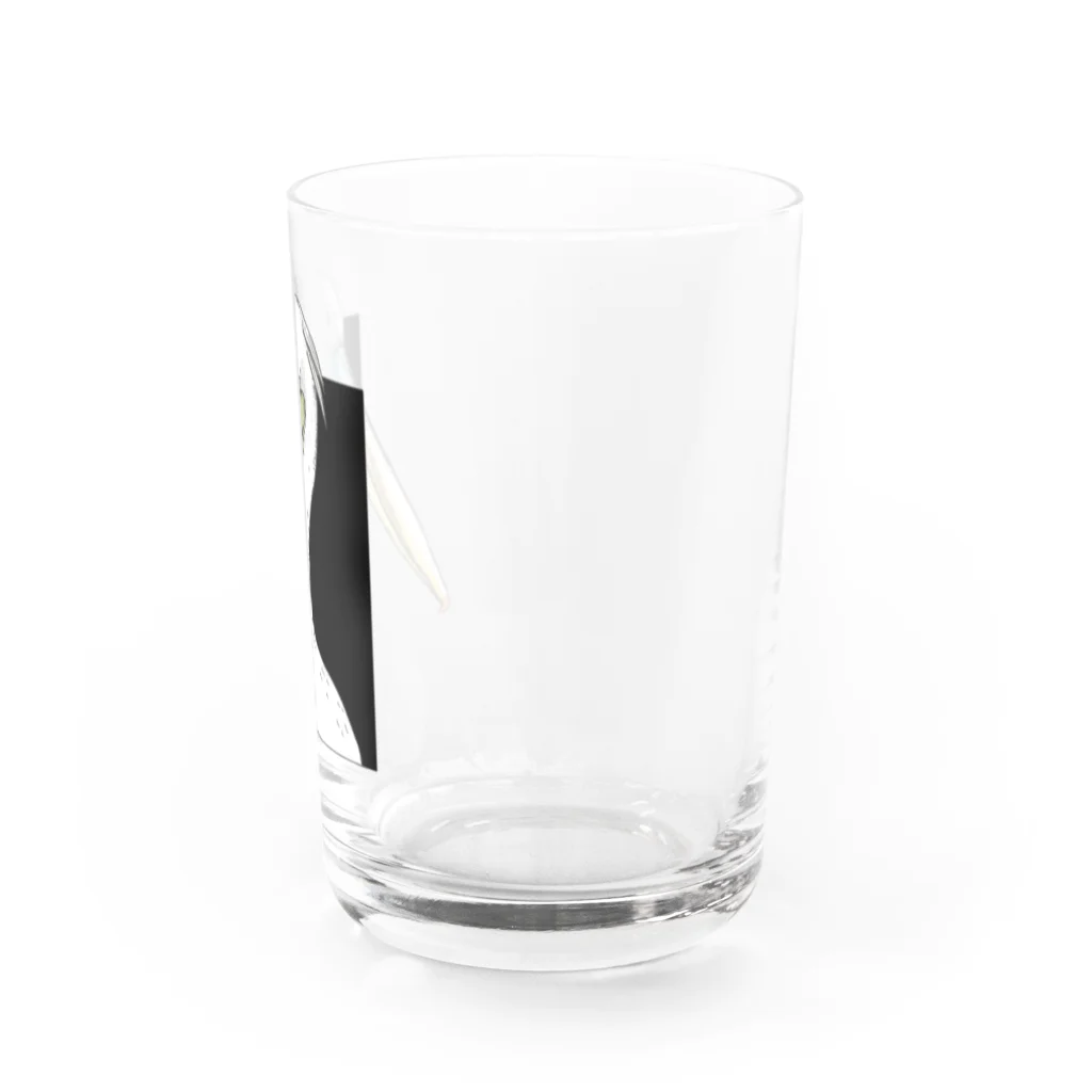 Leee_sanのモモイロペリカン Water Glass :right