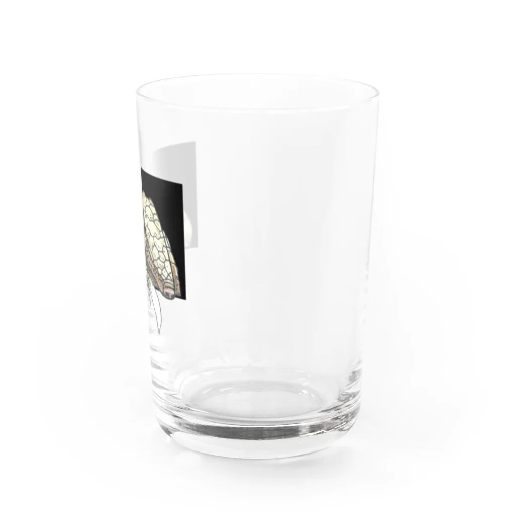 Leee_sanのムツオビアルマジロ Water Glass :right