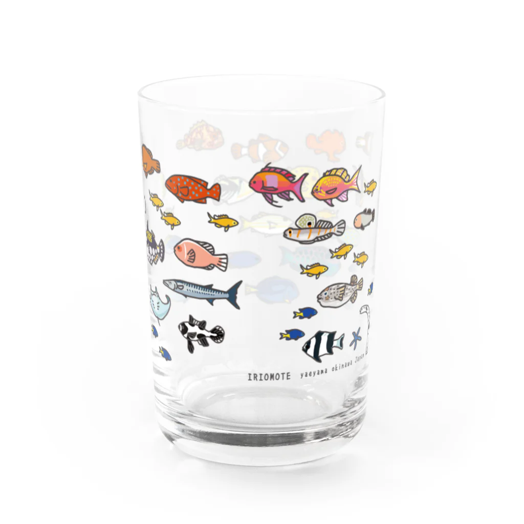 しまのなかまfromIRIOMOTEのらくがきしまのなかま魚類 Water Glass :right