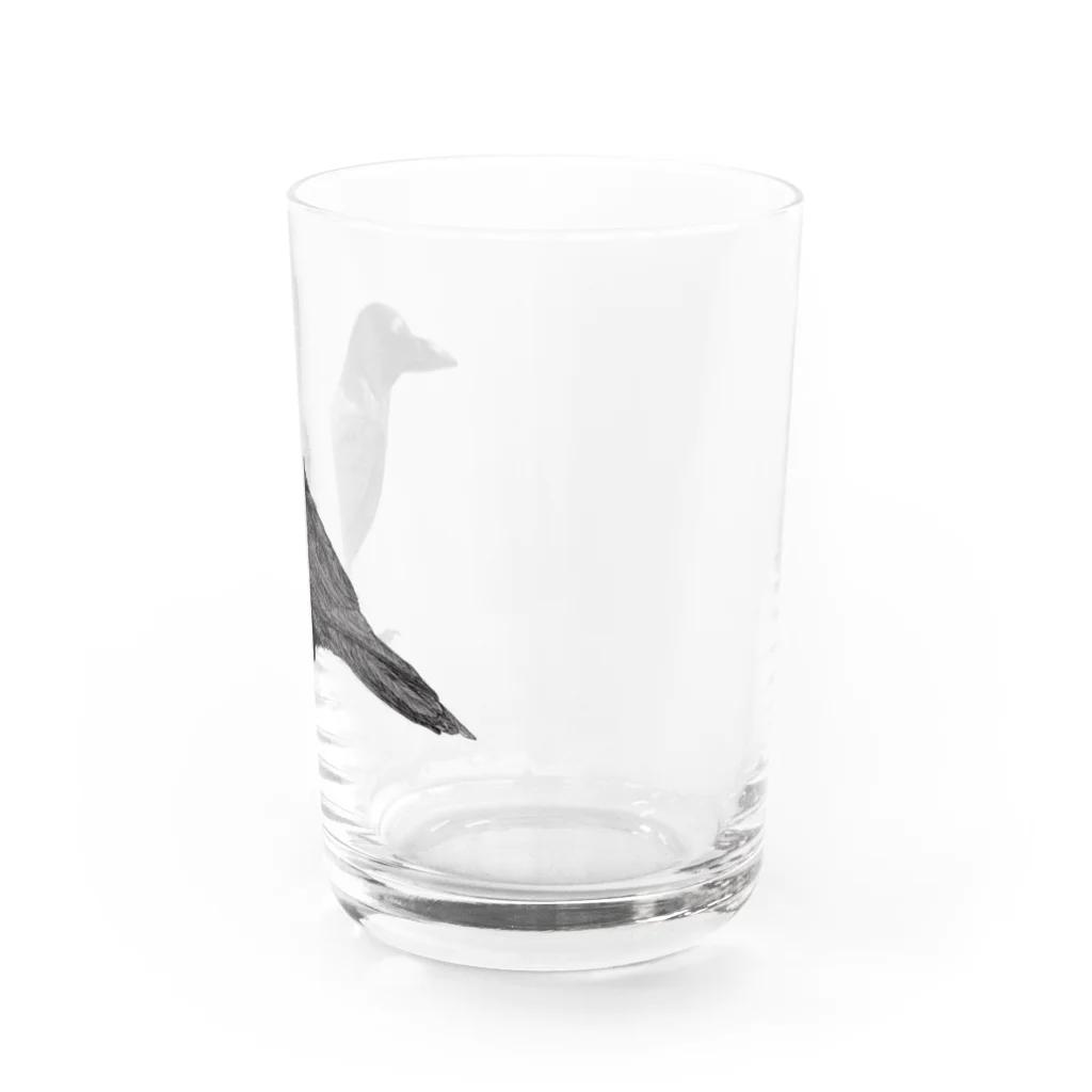 よしみのかー Water Glass :right