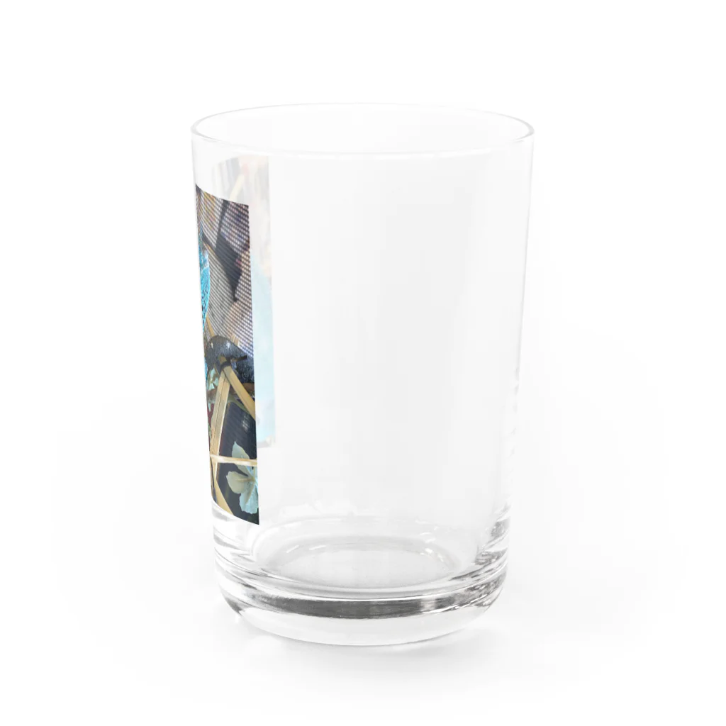 MEG's カメレオンのカメレオンのメレさん Water Glass :right