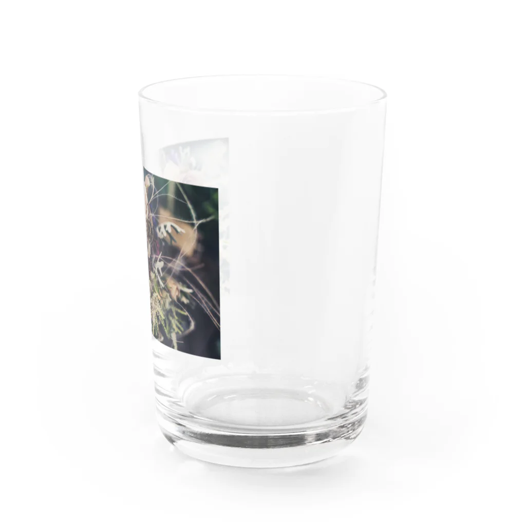 鈴屋の気まぐれ品の薔薇の花束を。 Water Glass :right