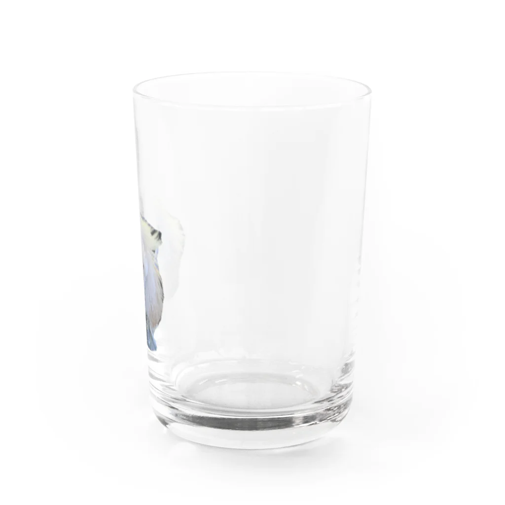 しんのすけのここちゃんグラス Water Glass :right