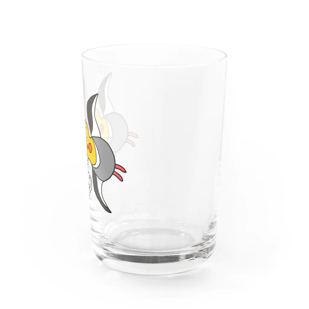 オカメインコとコーヒーの関係性について〜画伯さあしす在廊〜のツインオカメチドリ Water Glass :right