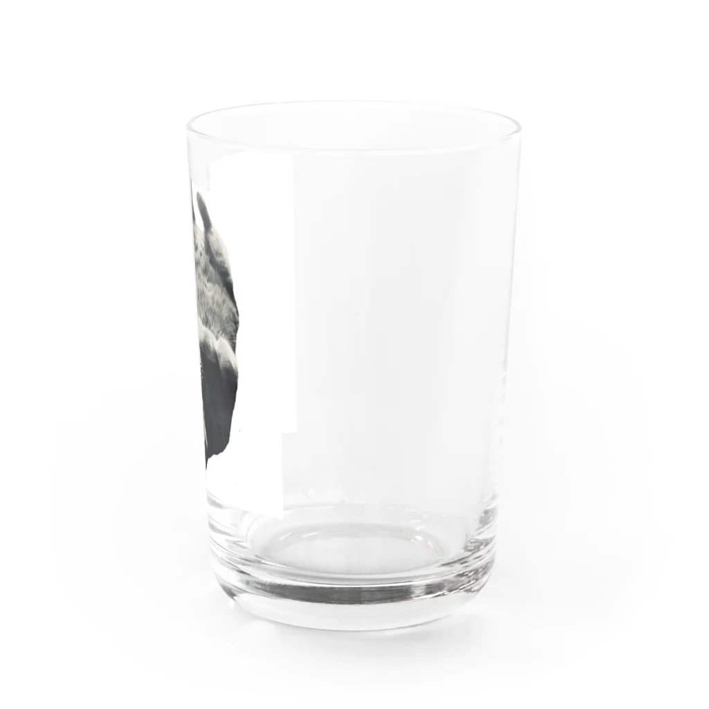 昭和猫の逆さ猫 Water Glass :right