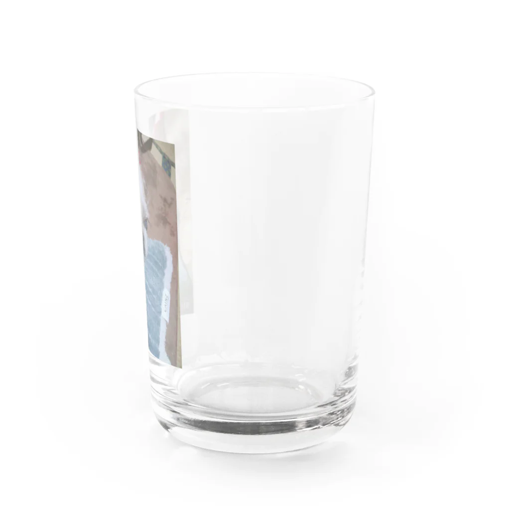 Chigu:ℓσνє♡の可愛いランちゃん Water Glass :right