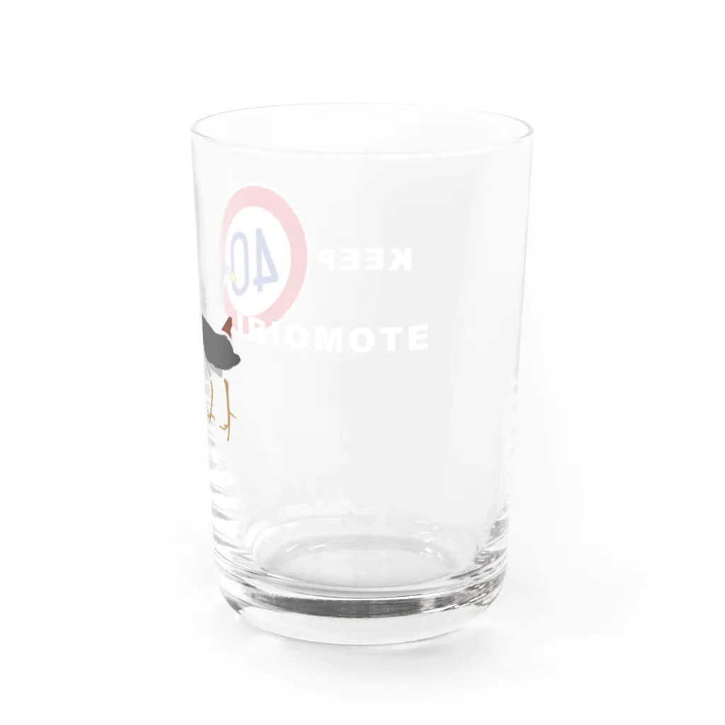 しまのなかまfromIRIOMOTEのKEEP40 IRIOMOTE シロハラクイナ（横） Water Glass :right