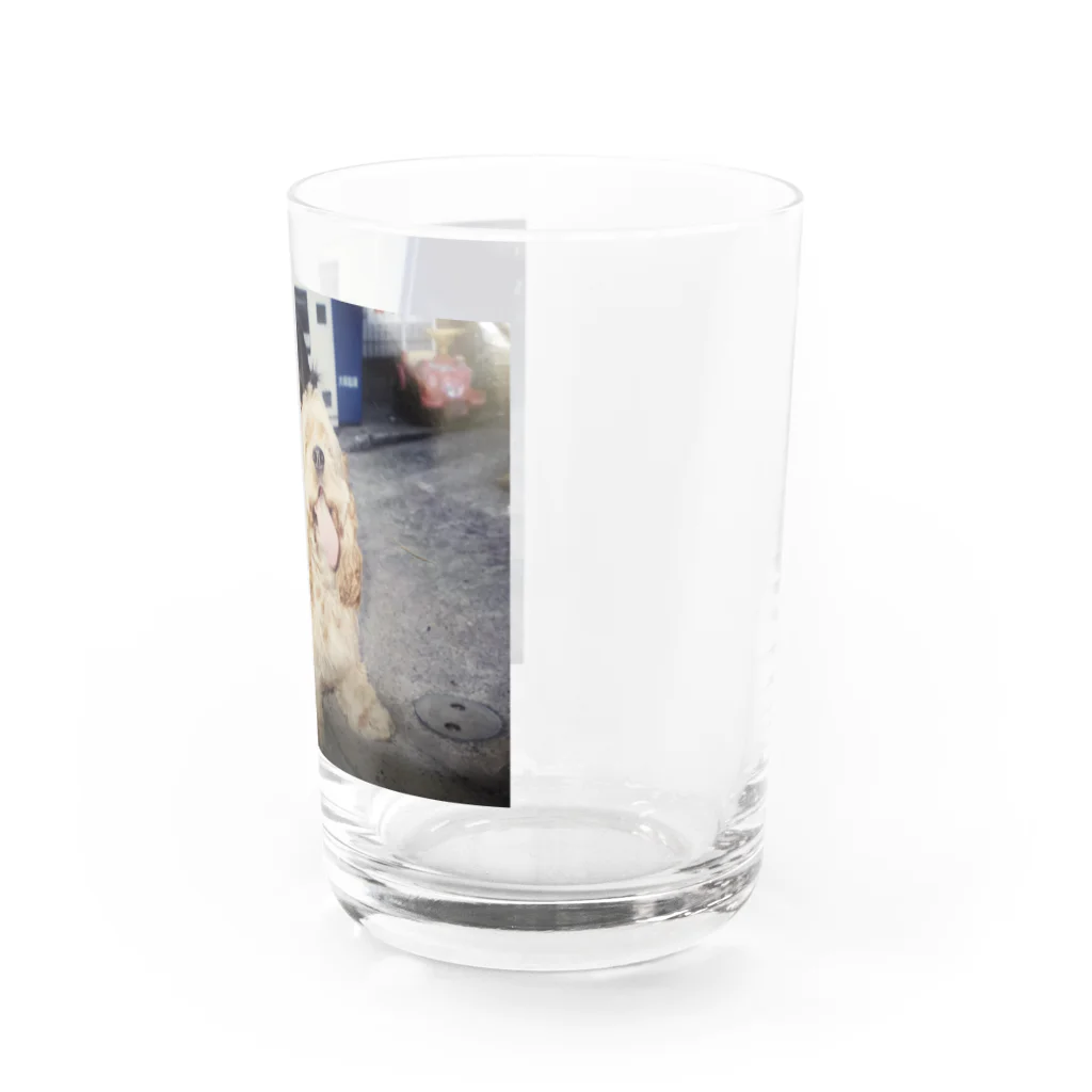 マシマシの幼少期 Water Glass :right