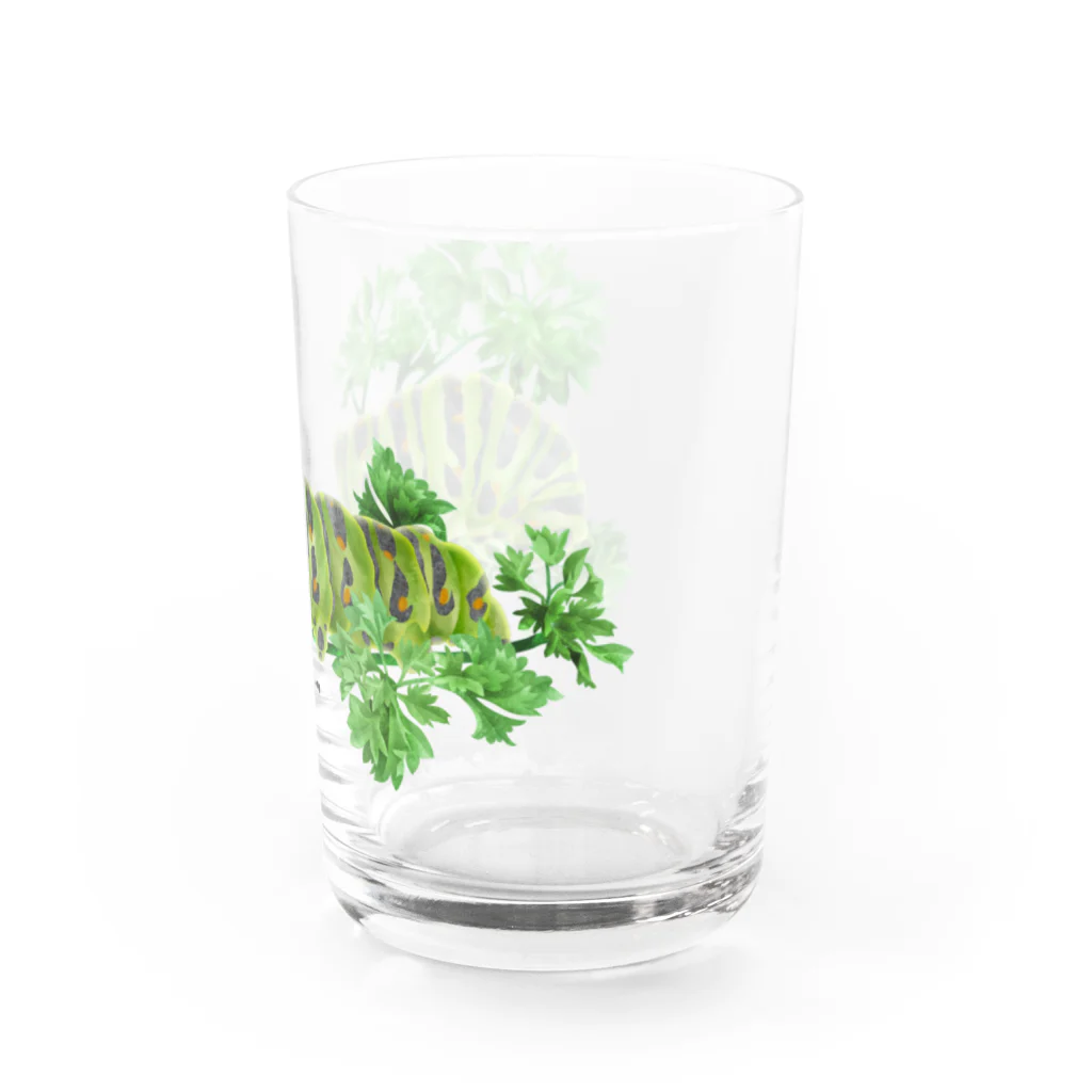 OJIKのキアゲハイモムシ Water Glass :right