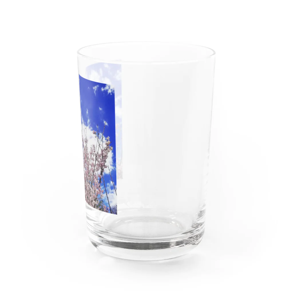 Exit153のサクラSky Water Glass :right