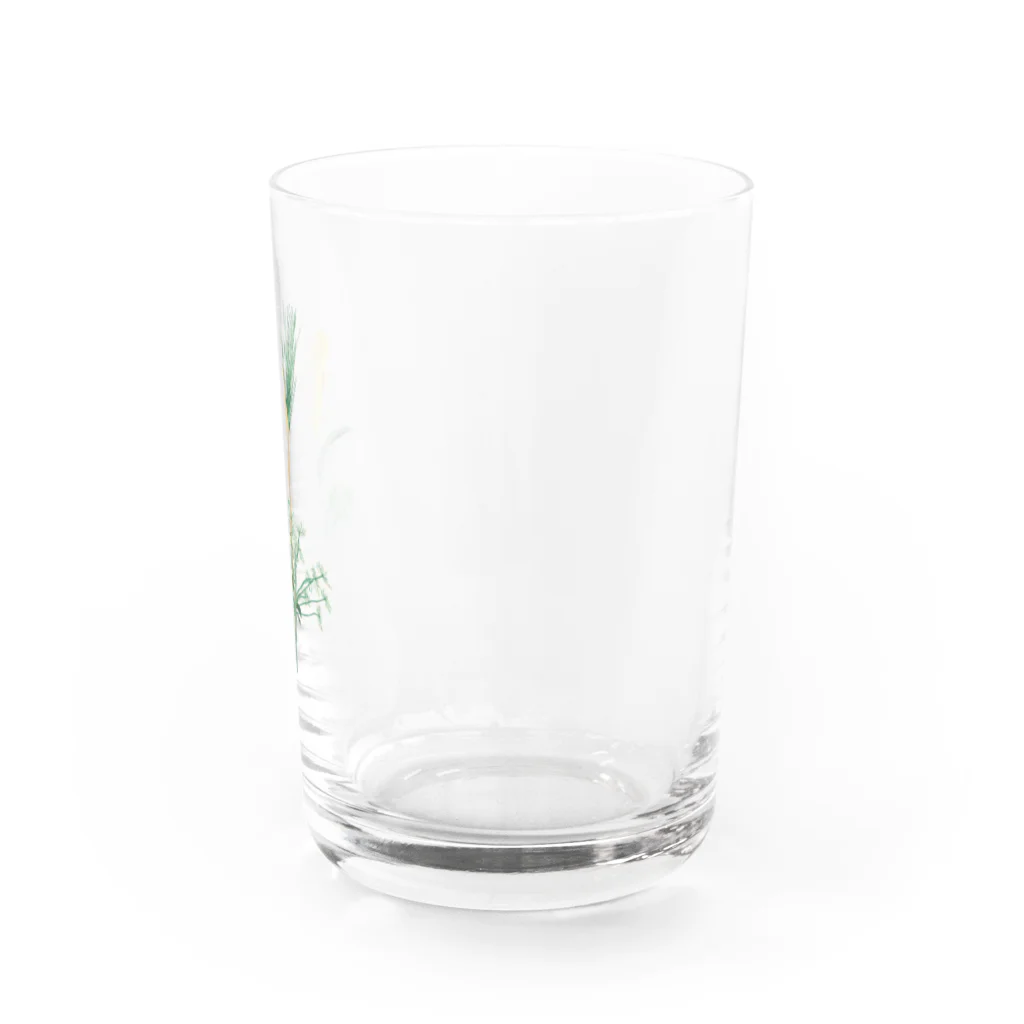 polka polkaのチューリップと麦とレースフラワー。 Water Glass :right