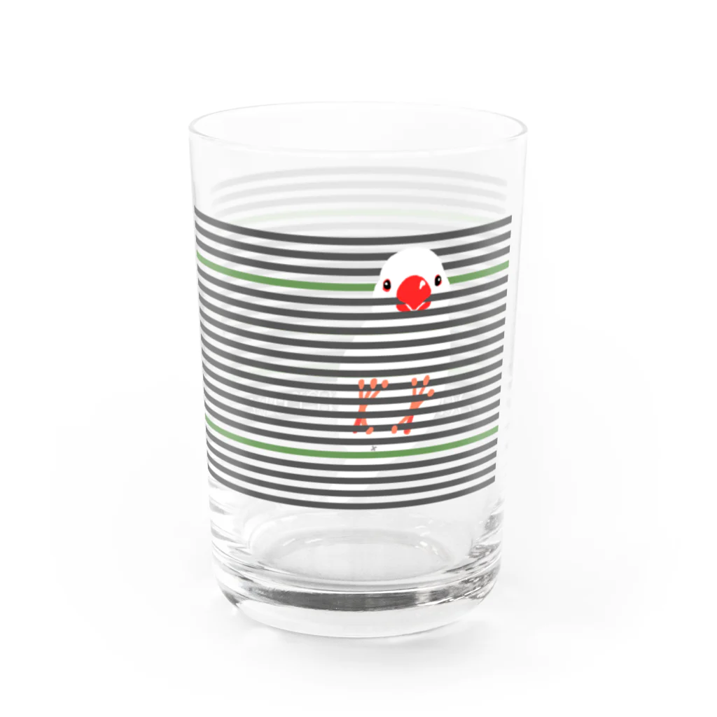 福みみチュンのカミカミ文鳥 Water Glass :right