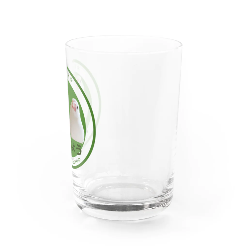 おさとうとおしおのぶんちょう電車シリーズ Water Glass :right