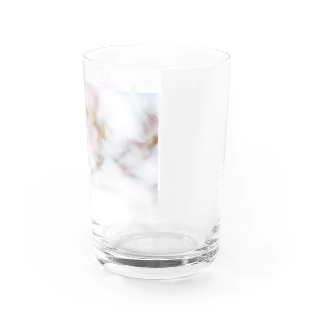 はち / きまぐれハチログのさくら Water Glass :right