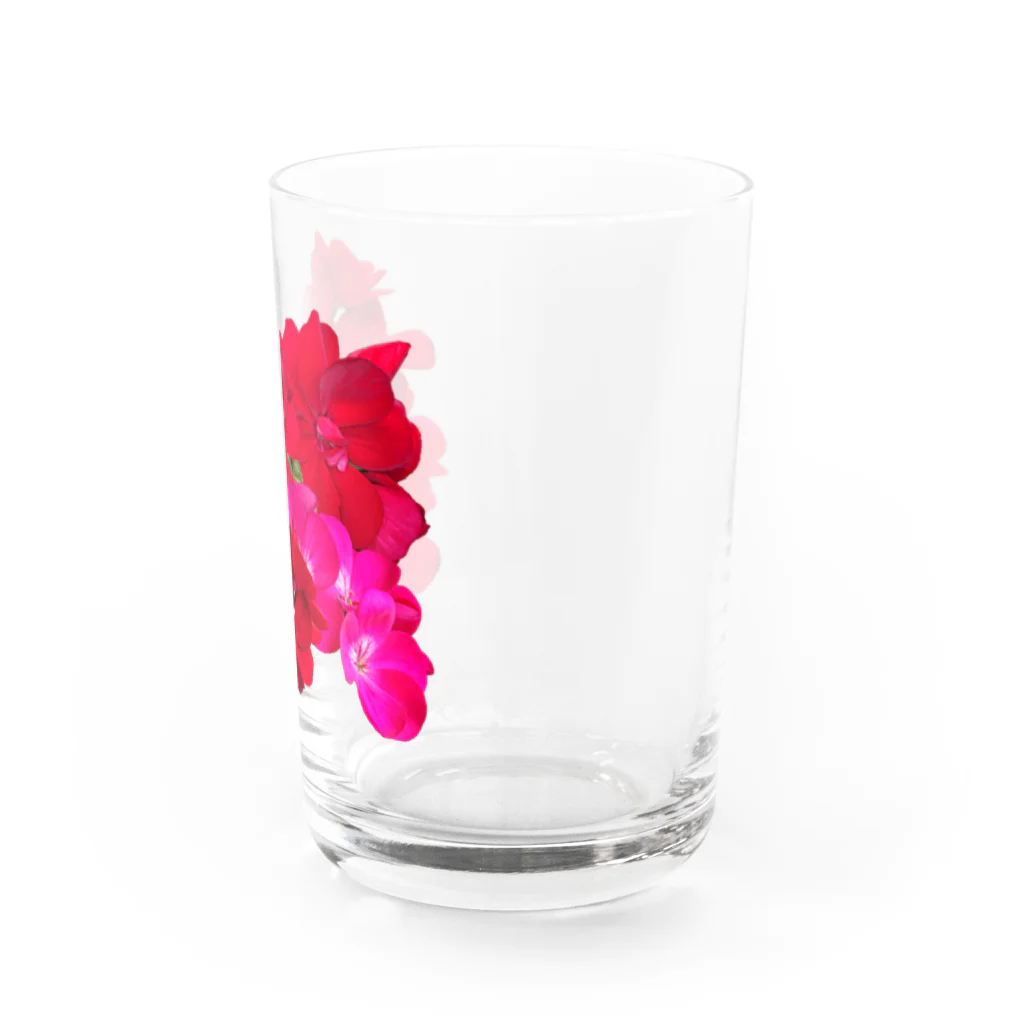 lisz-marketのゼラニウムさん Water Glass :right