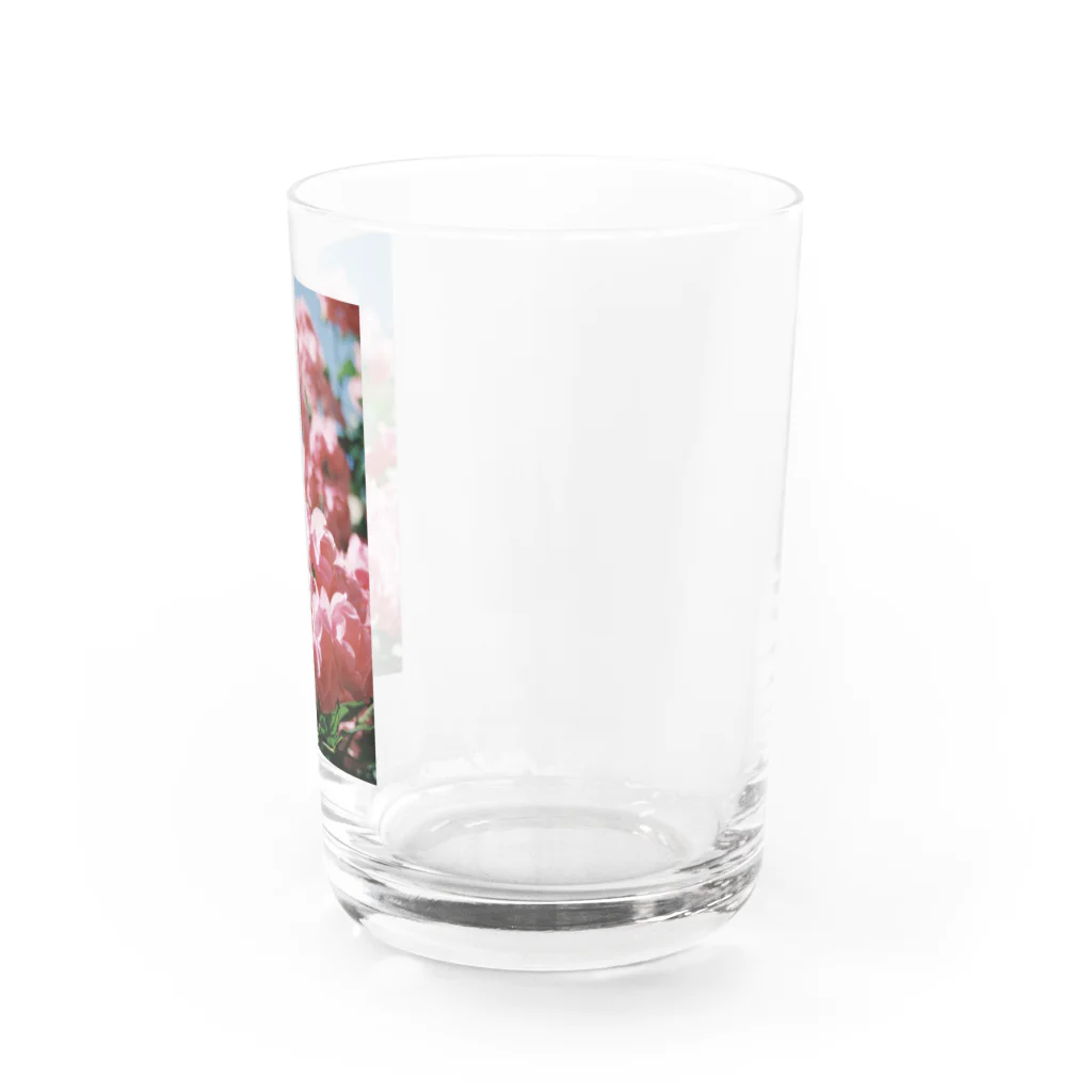 BLACKANDWHITEのBeautiful flowers Water Glass :right