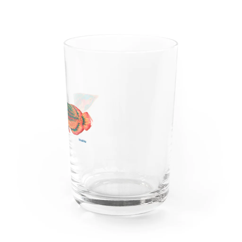 キナッコのキナッコさんちのアジアアロワナ(赤) Water Glass :right