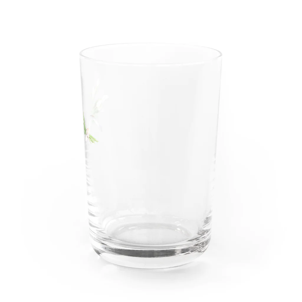 sakiのチューリップの花束 Water Glass :right