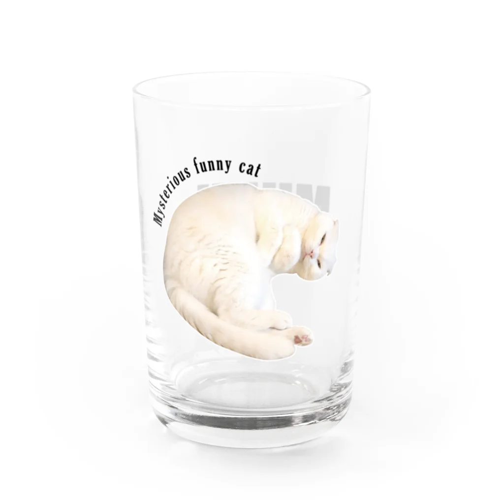 moromi_mukuの謎猫：飲み物用 Water Glass :right