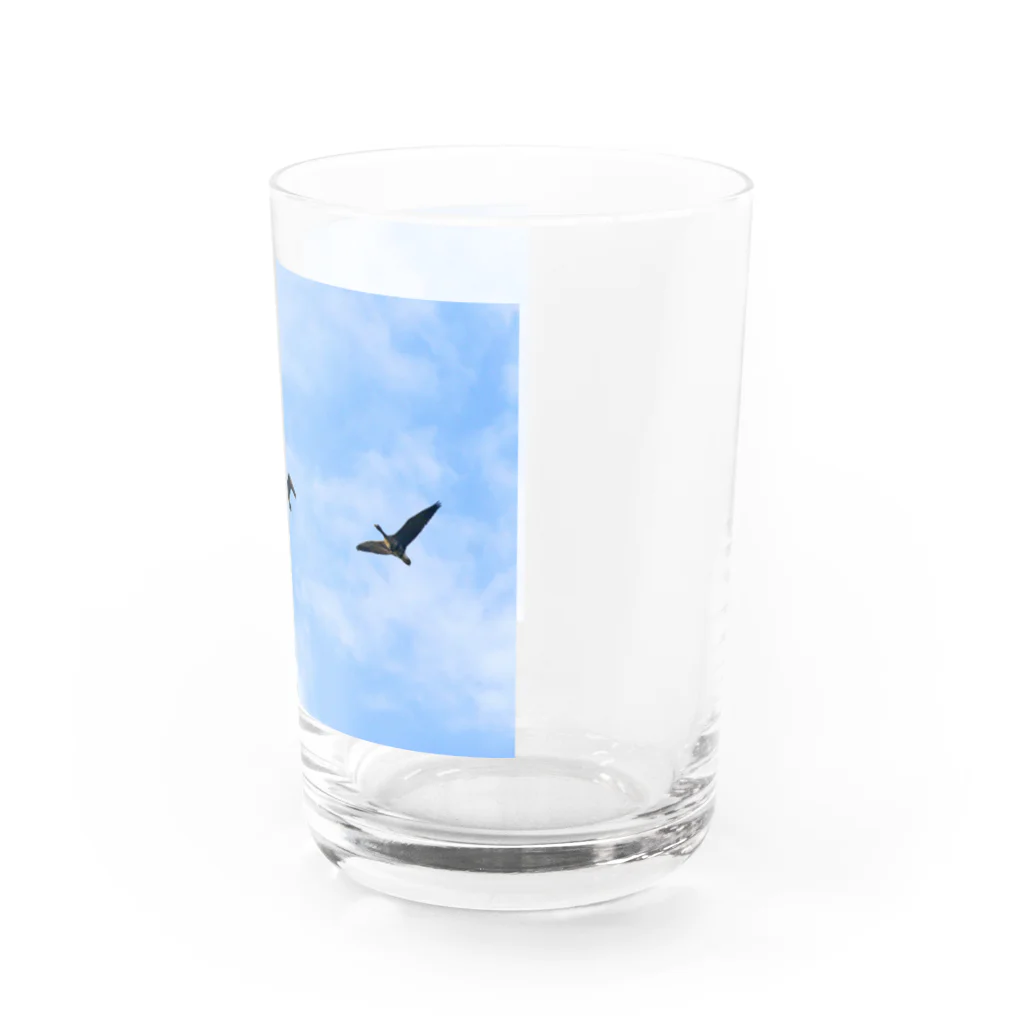 雁花工房（寄付アイテム販売中です）のマガン飛翔３羽 Water Glass :right