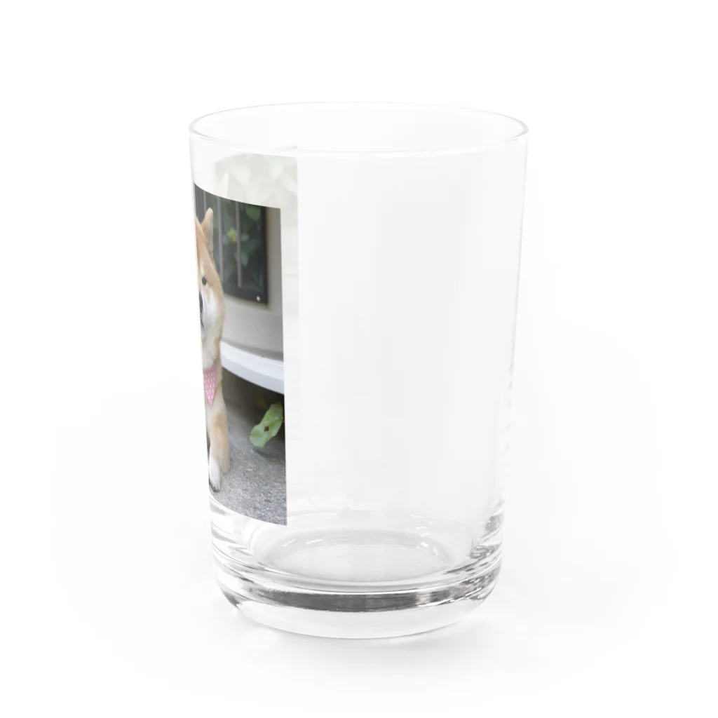 Ryuji513のにやりじ Water Glass :right