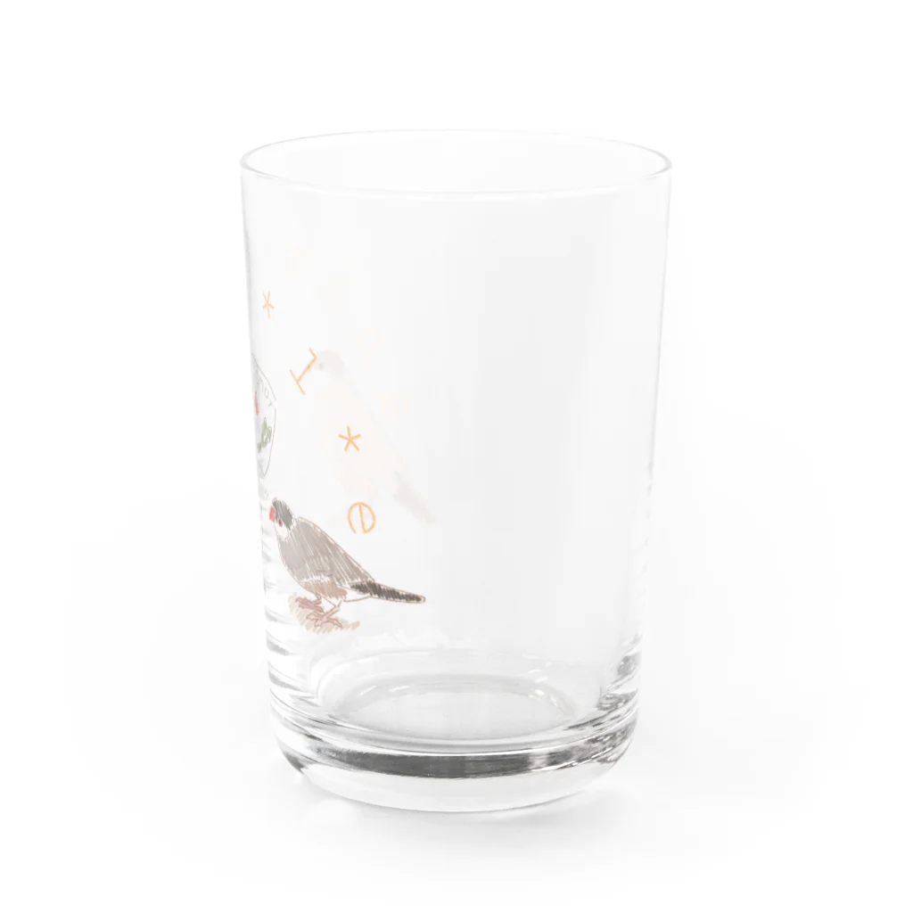 anima*l*eのおつかい文鳥 Water Glass :right