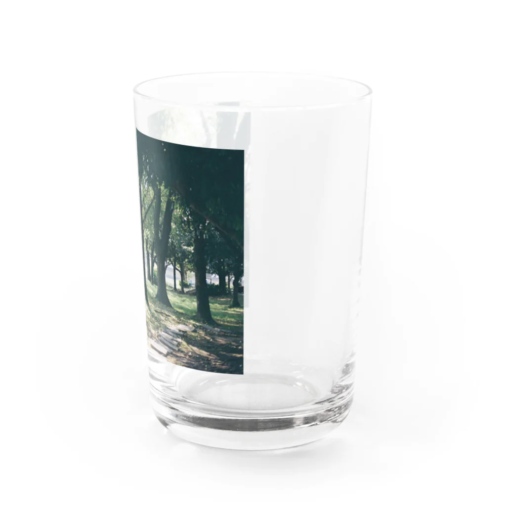 まりぴさんの森 Water Glass :right