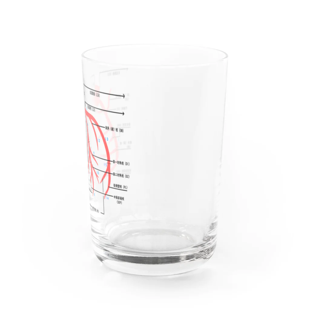 ゆんちるのとにかく冠動脈 Water Glass :right