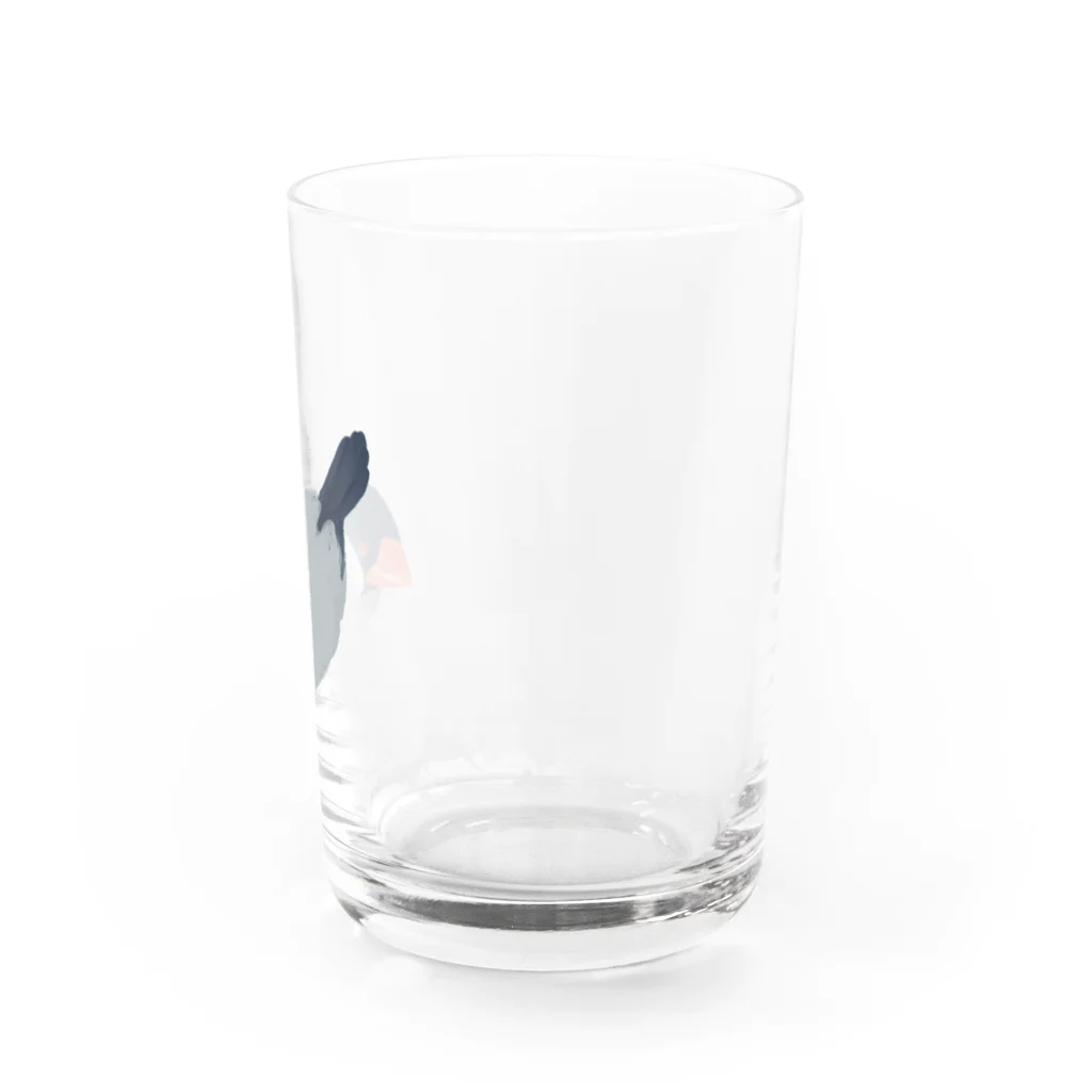 ブンチョのずんだのフクフク文鳥 Water Glass :right