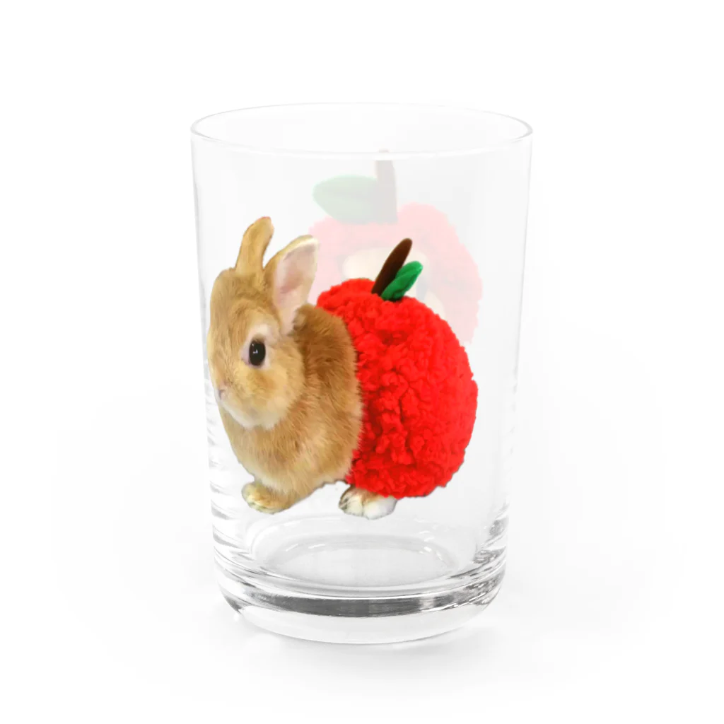 『卯のえほん』   〜えほんカフェ「うさぎの絵本」のオンラインショップ〜の「はいちゃいました」グラス Water Glass :right