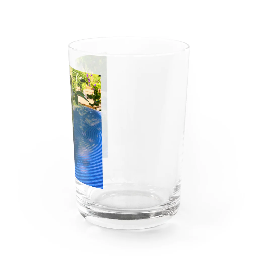 トウメイミドリのトウメイシロのクレマチス Water Glass :right