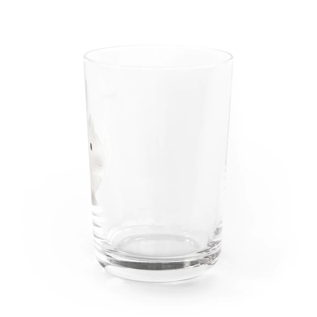 めんふぃすのうさぎ　ネザー Water Glass :right