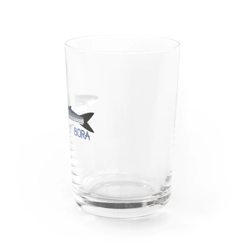 ヤストリのボラ Water Glass :right