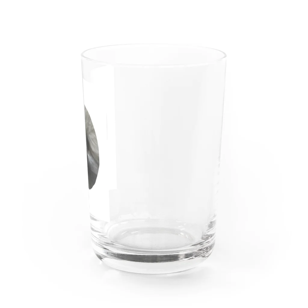 こやま　りなのジャー Water Glass :right