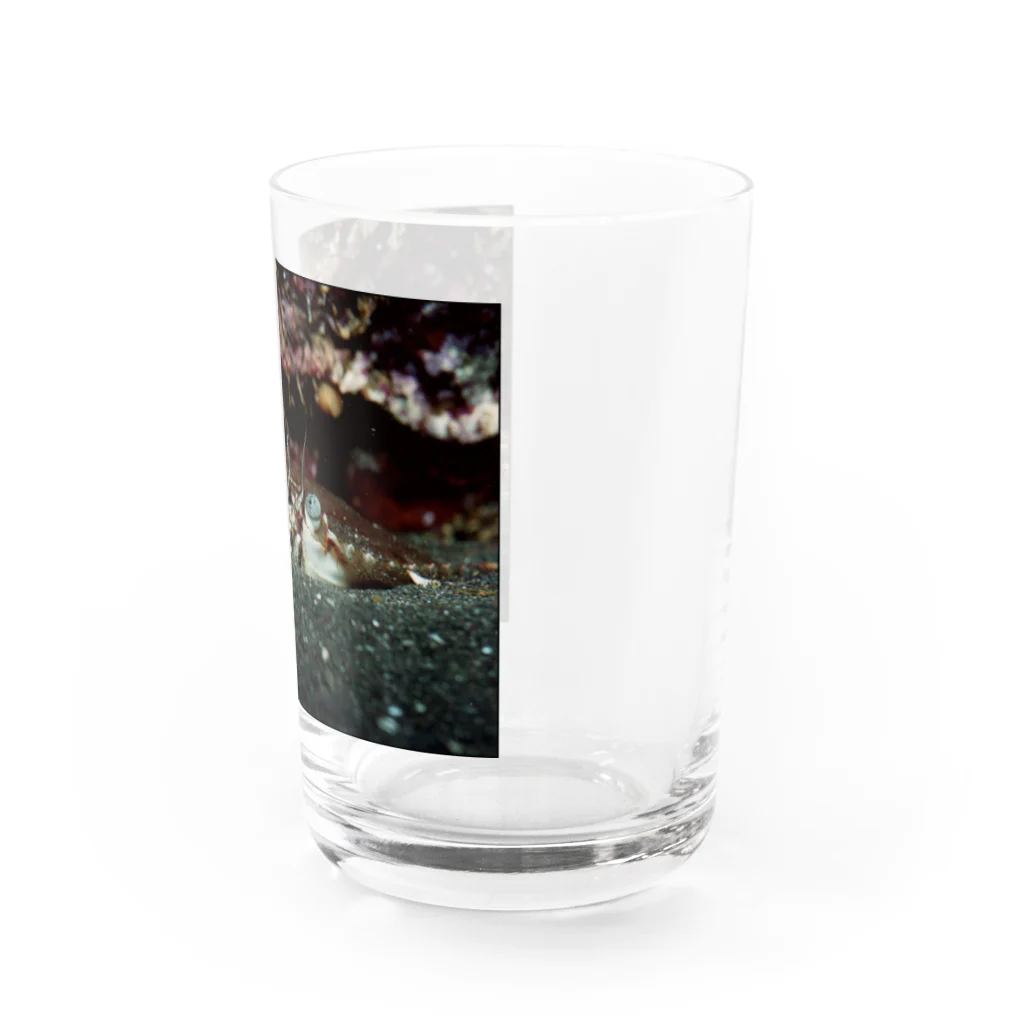 龍舞堂の蟹 Water Glass :right