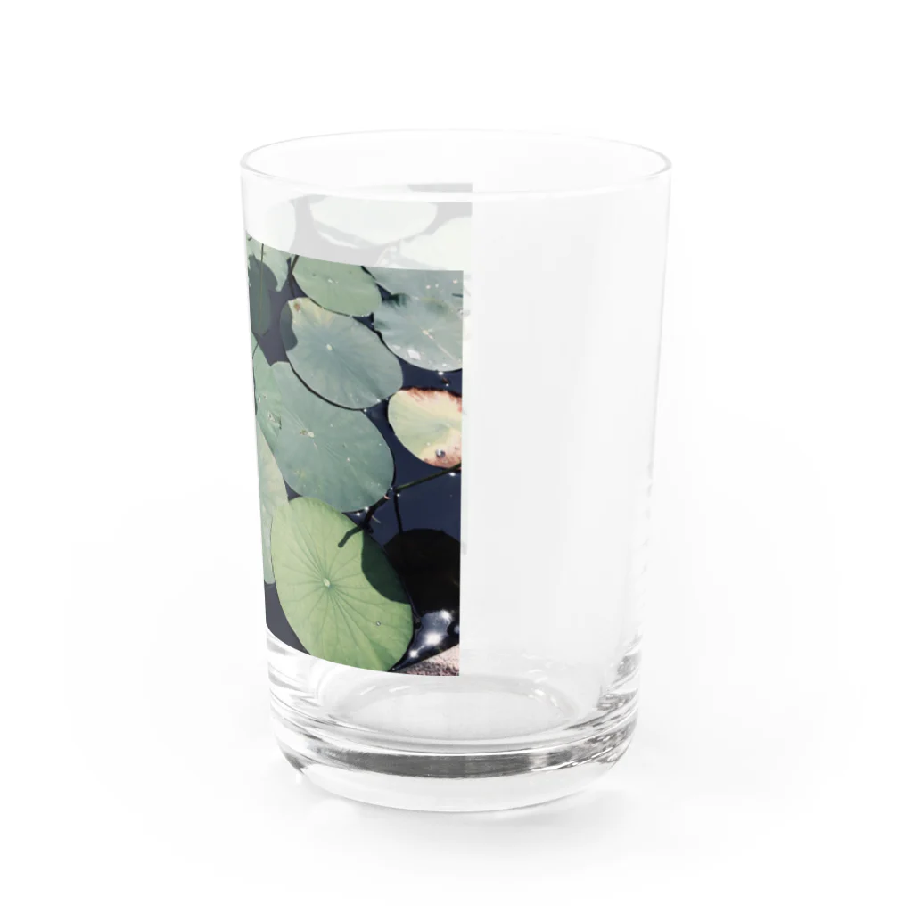 yutoyouの Lotus Leaf Water Glass :right