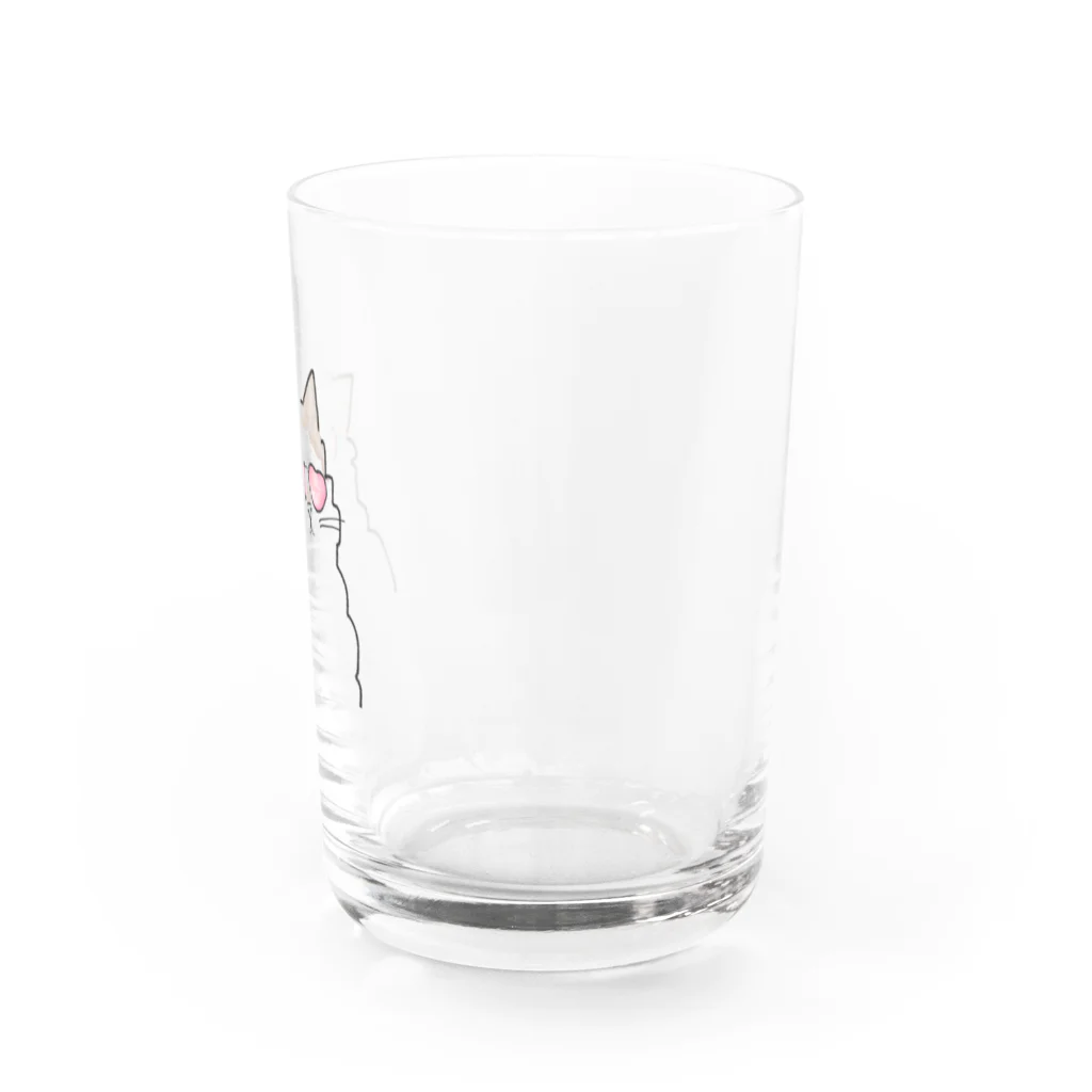 もふもふにゃんずのハートサングラスレイくん Water Glass :right