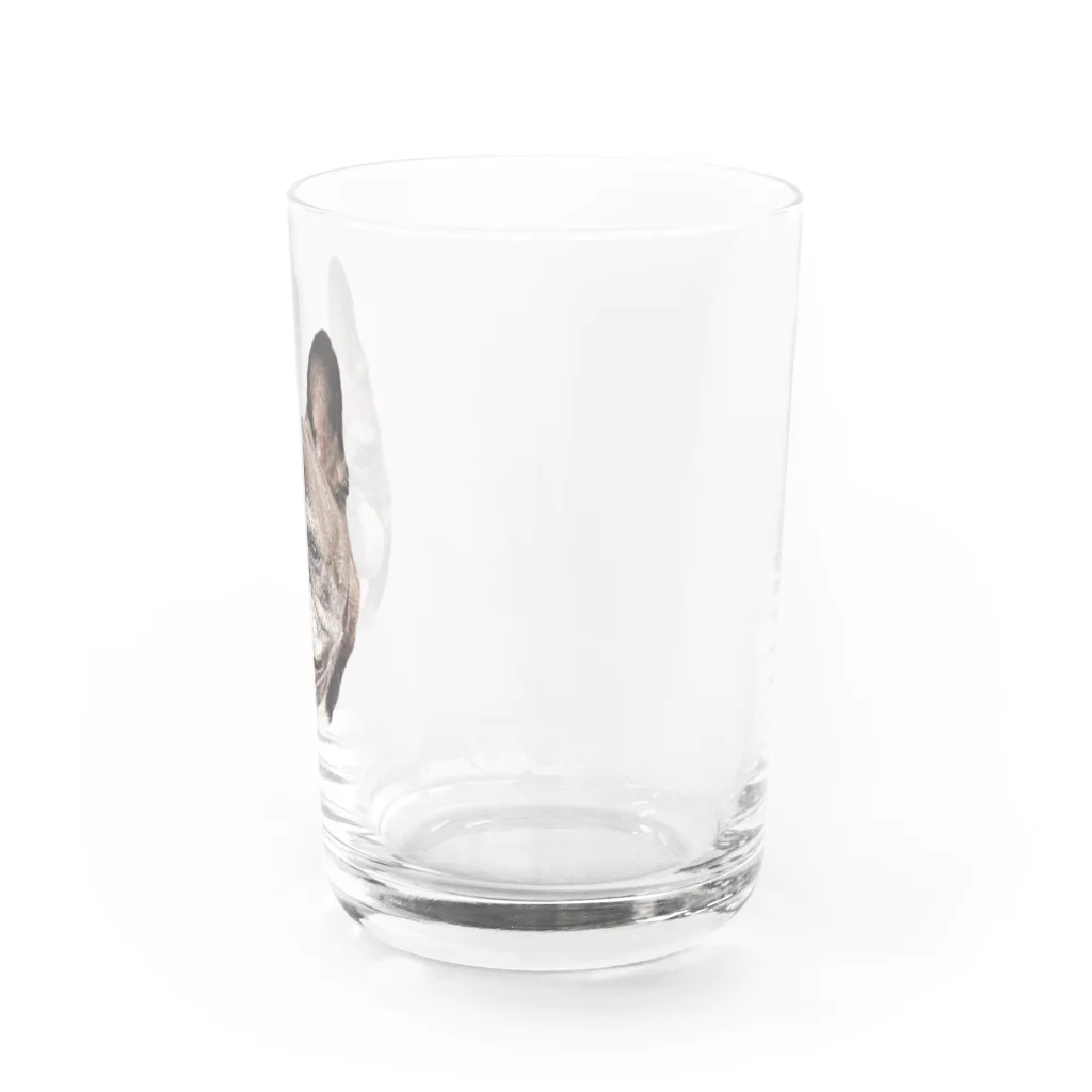 愛犬のドッグフード代を稼ぐTシャツ屋さんのにっこり犬マメ(リアル) Water Glass :right