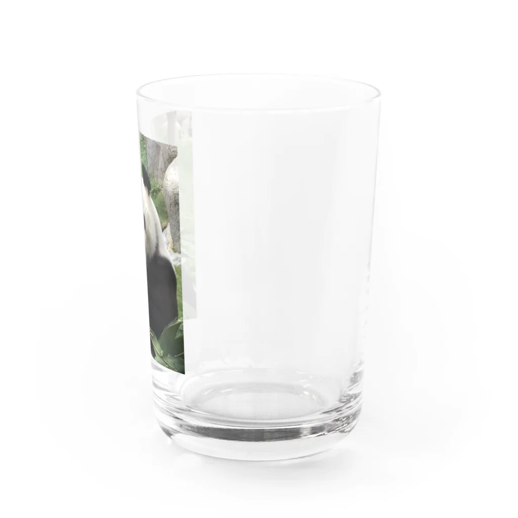 HKG パンダの右奥歯で Water Glass :right