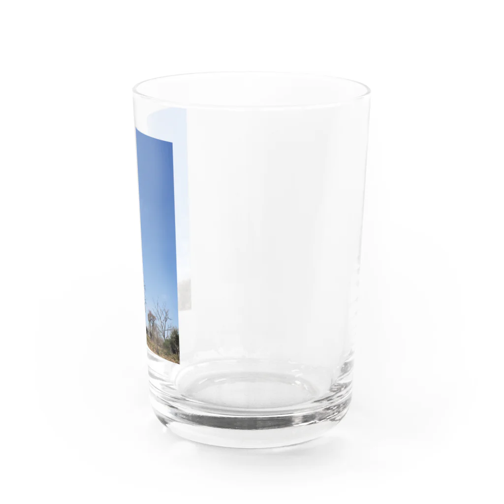 BuBu SHOPのゾウと空 Water Glass :right