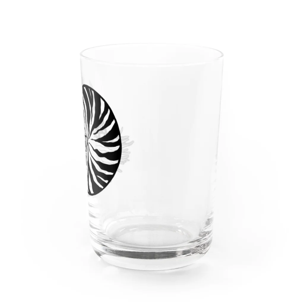 モリタミナミのオウムガイ Water Glass :right