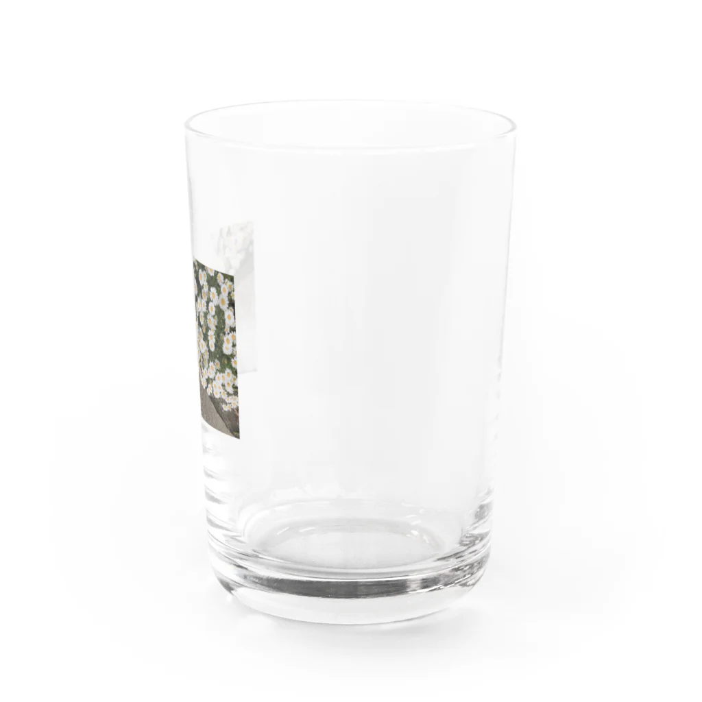 she is meのshe is u(実写版) Water Glass :right