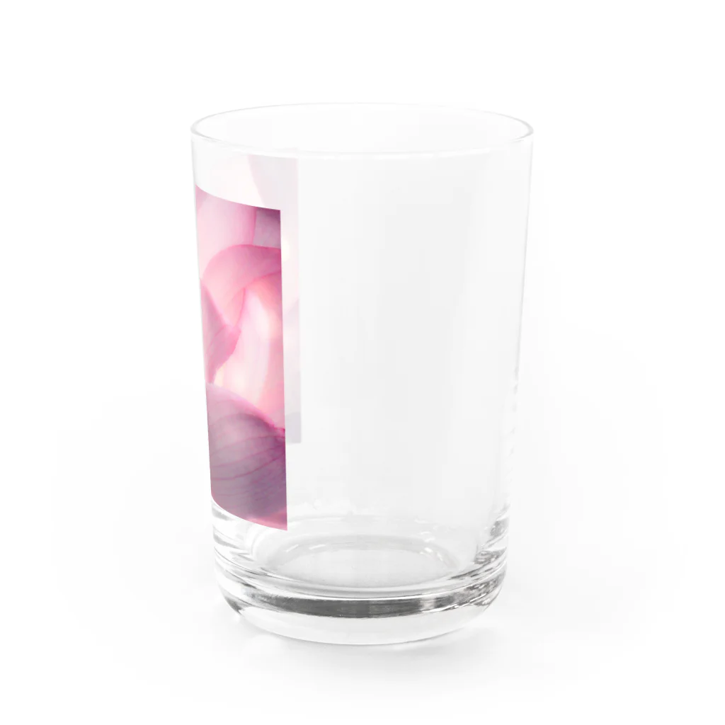 suparnaの蓮の花咲くとき Water Glass :right