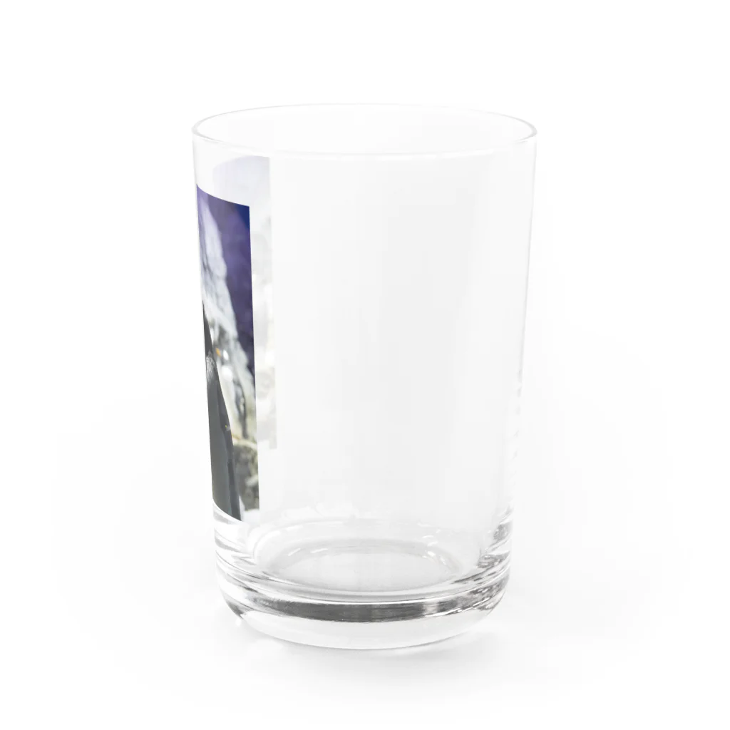 オモちーりオモちーりのペンギンのコップ Water Glass :right